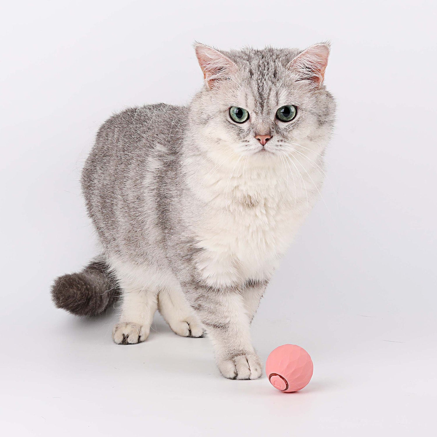 Cat Toy | Interactive Self-Rolling Ball