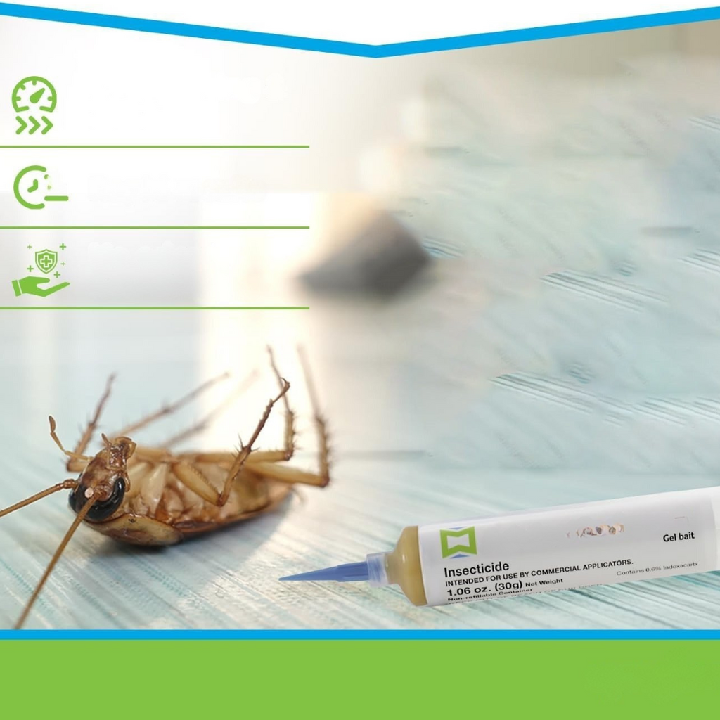 Pest Control Gel Safe Indoor Roach Killer