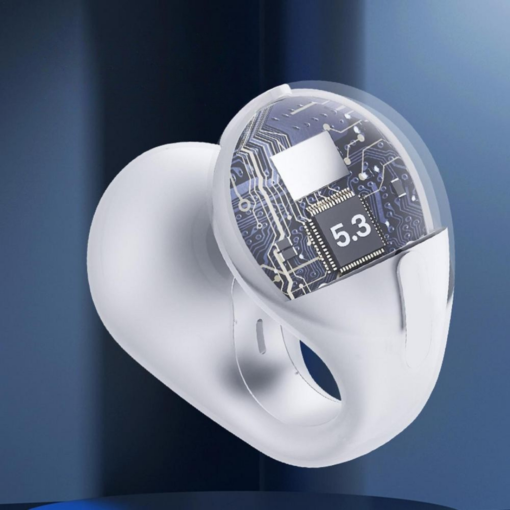 Wireless Earbuds with Secure Fit and Case