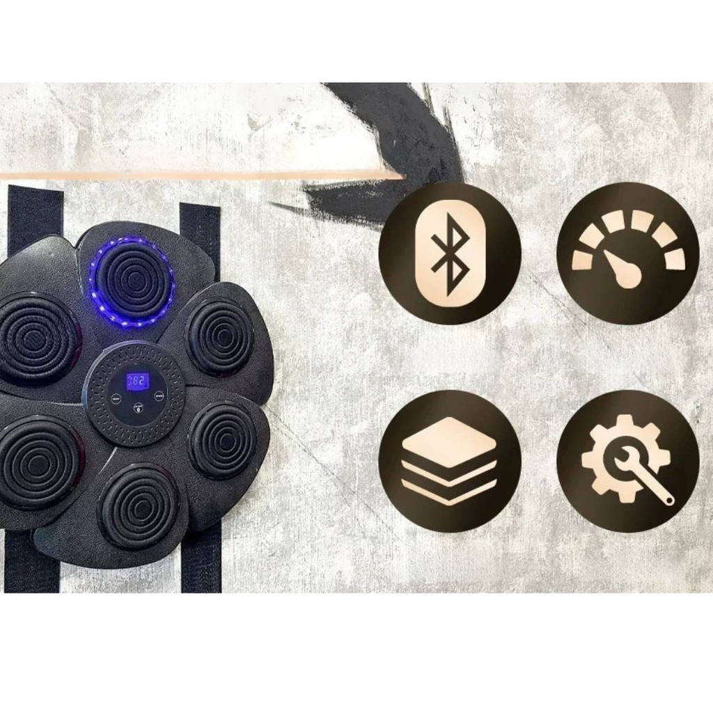 Home Boxing Wall Trainer with Bluetooth Music