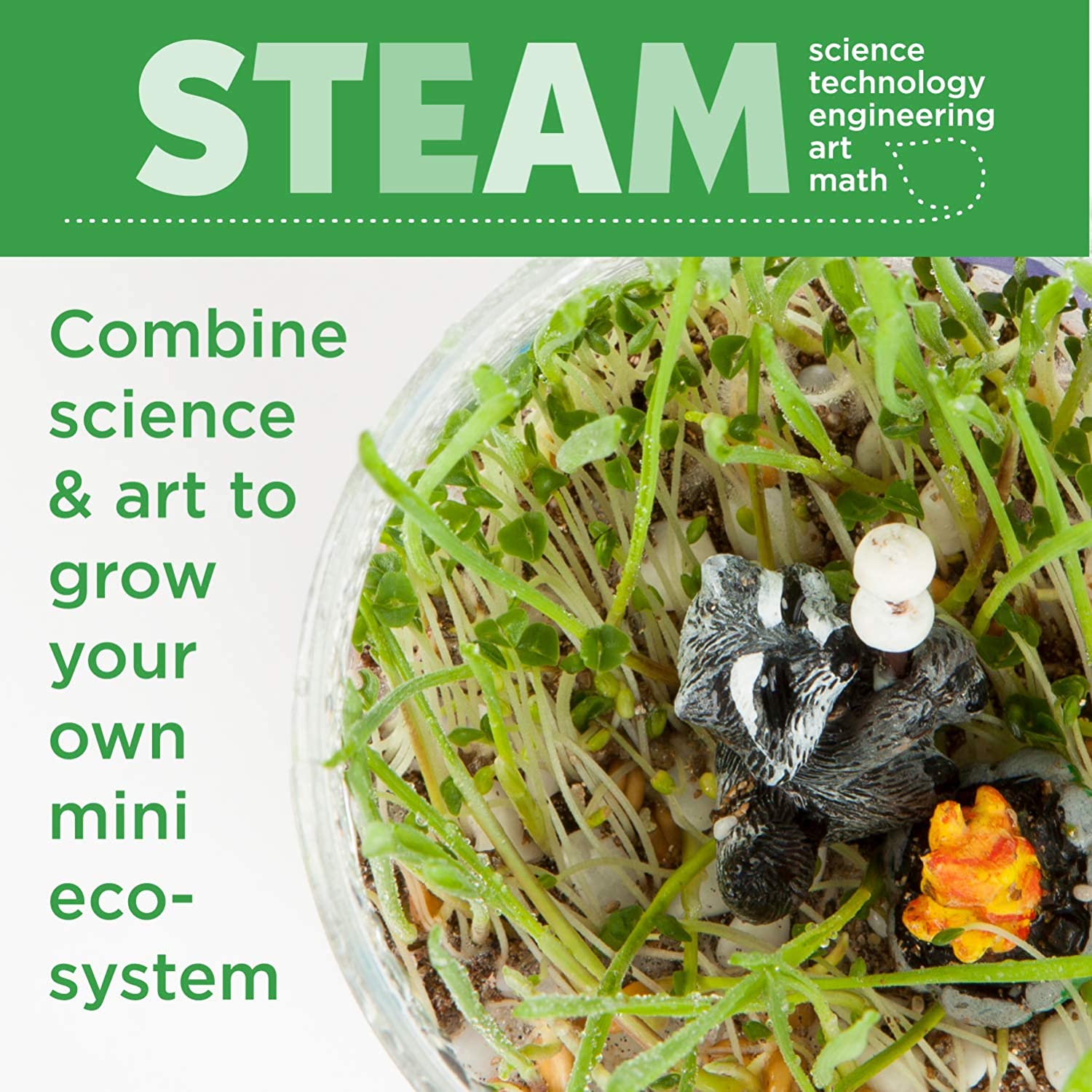 Plant Growing Kit Colourful Terrarium Set