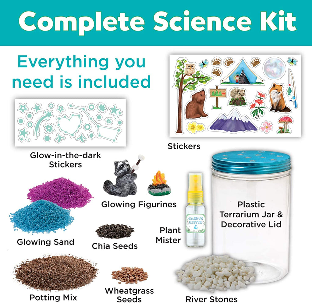 Plant Growing Kit Colourful Terrarium Set