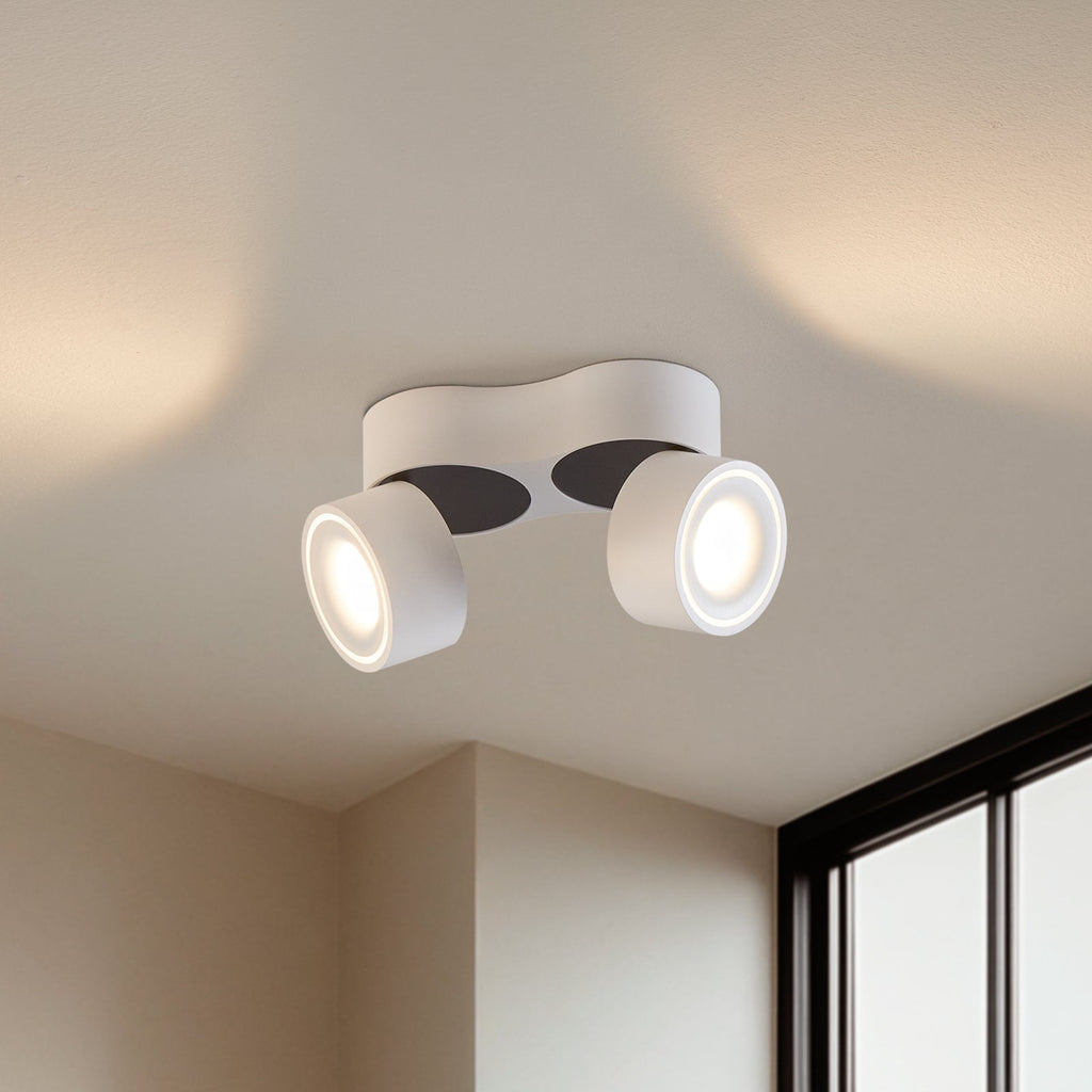 Ceiling Light with Dual Adjustable Spotlights