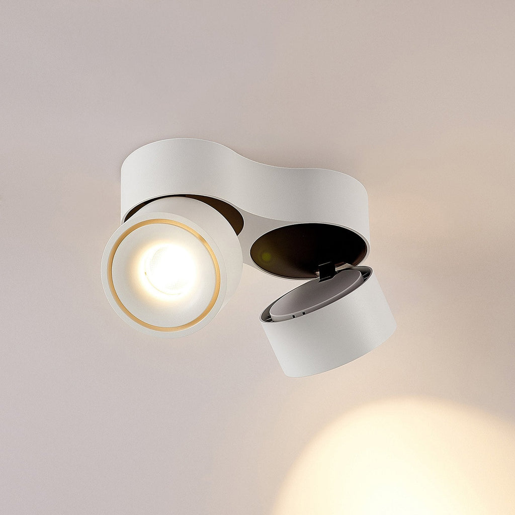 Ceiling Light with Dual Adjustable Spotlights