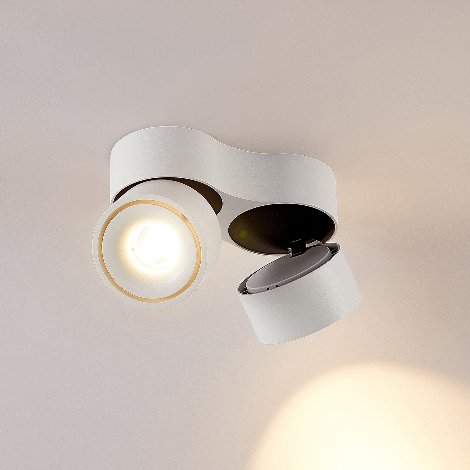 Ceiling Light with Dual Adjustable Spotlights