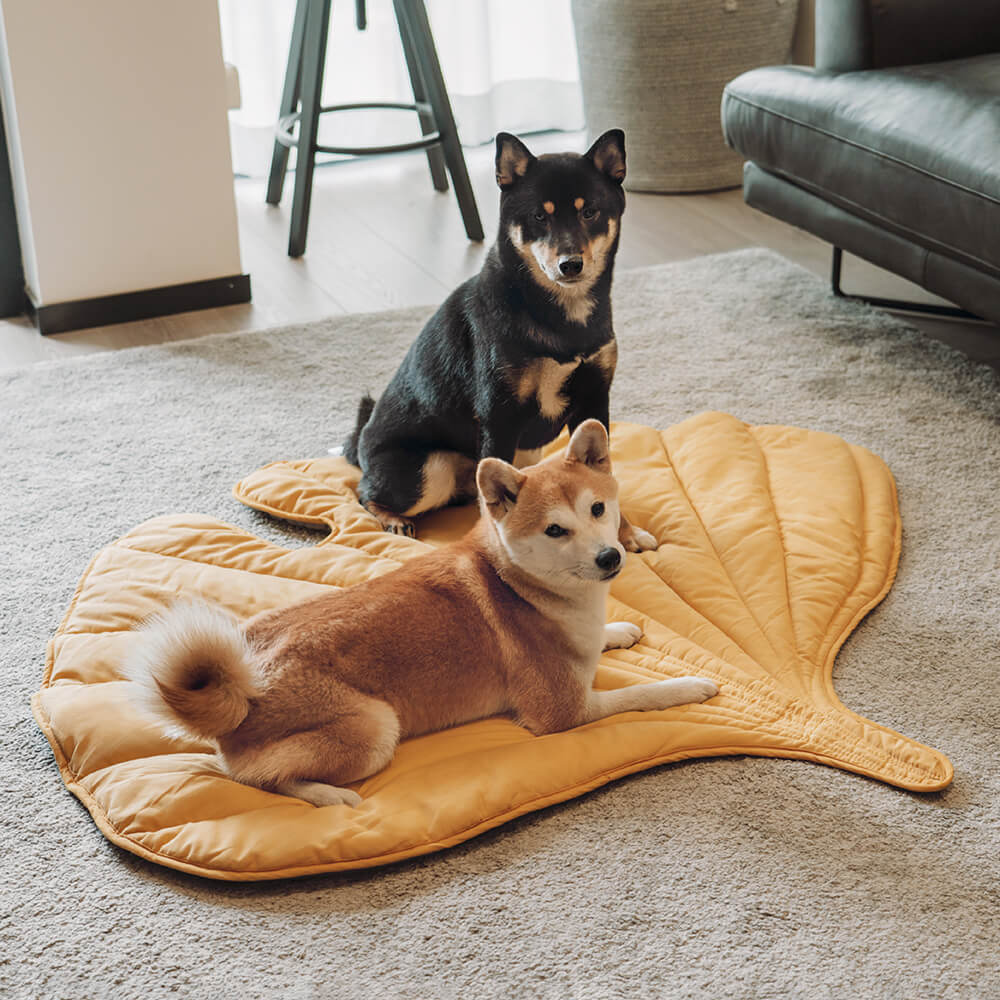 Dog Blanket Mat for Large Pets