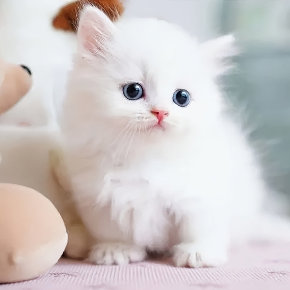 Realistic Robotic Cat Toy Soft Fur Interactive Electronic Pet