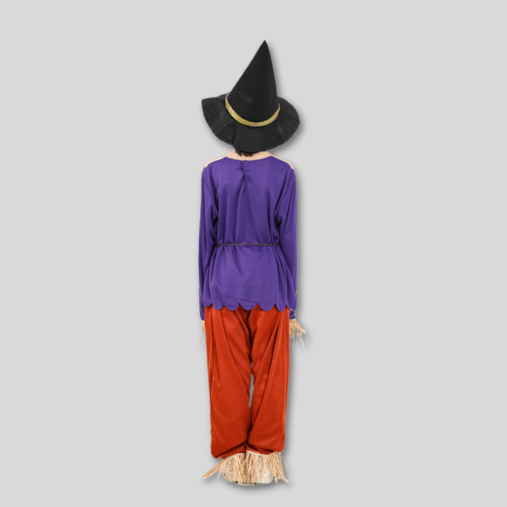 Scarecrow Halloween Costume Boys Purple Top Pants