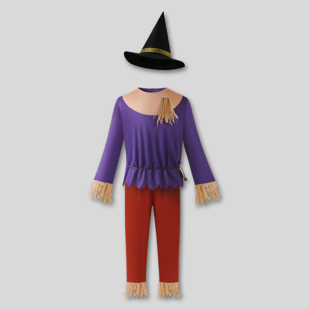 Scarecrow Halloween Costume Boys Purple Top Pants
