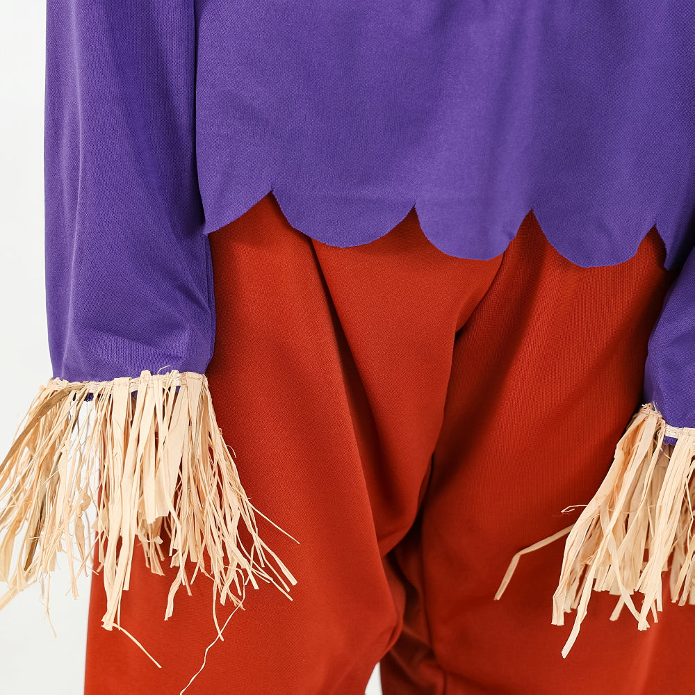 Scarecrow Halloween Costume Boys Purple Top Pants