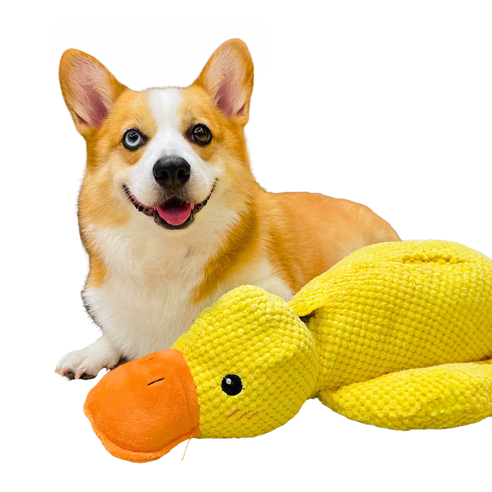 Dog Toy Plush Duck for Mental Stimulation