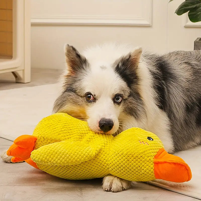 Dog Toy Plush Duck for Mental Stimulation