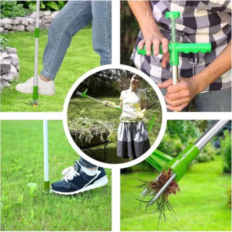 Garden Weed Removal Tool Stainless Steel Root Puller