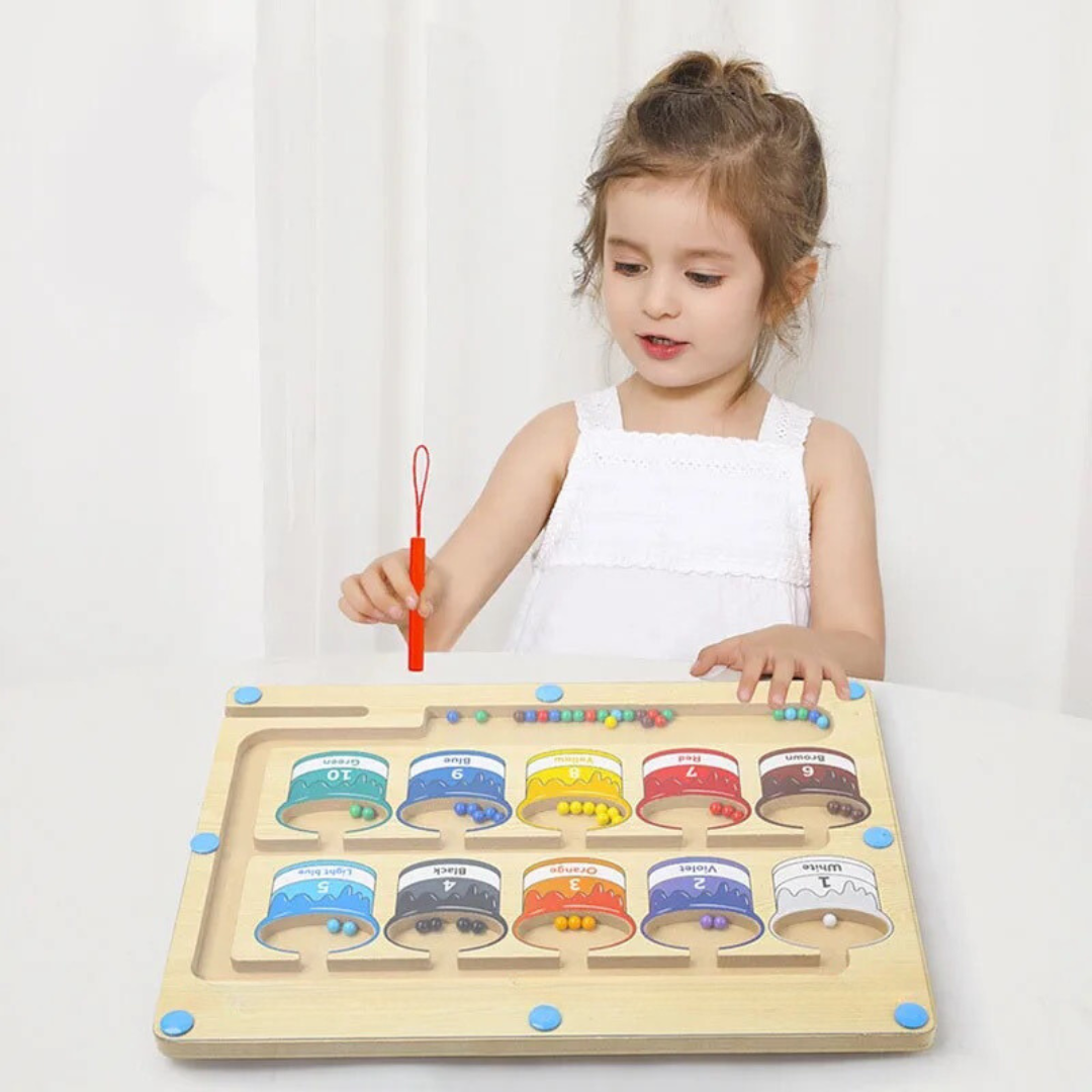 Wooden Magnetic Colour Matching Learning Toy