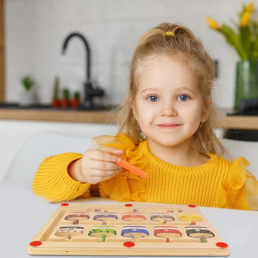 Wooden Magnetic Colour Matching Learning Toy