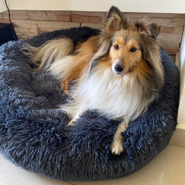 Calming Faux Fur Washable Dog Bed Cushion