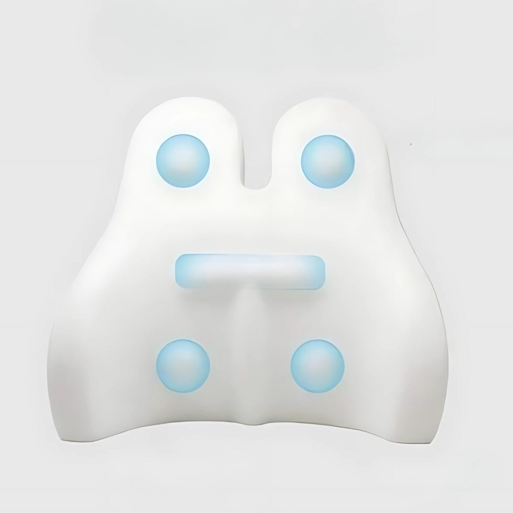 Back Support Cushion with Memory Foam Design