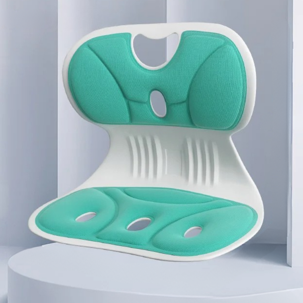 Back Support Cushion for Office Desk Chair