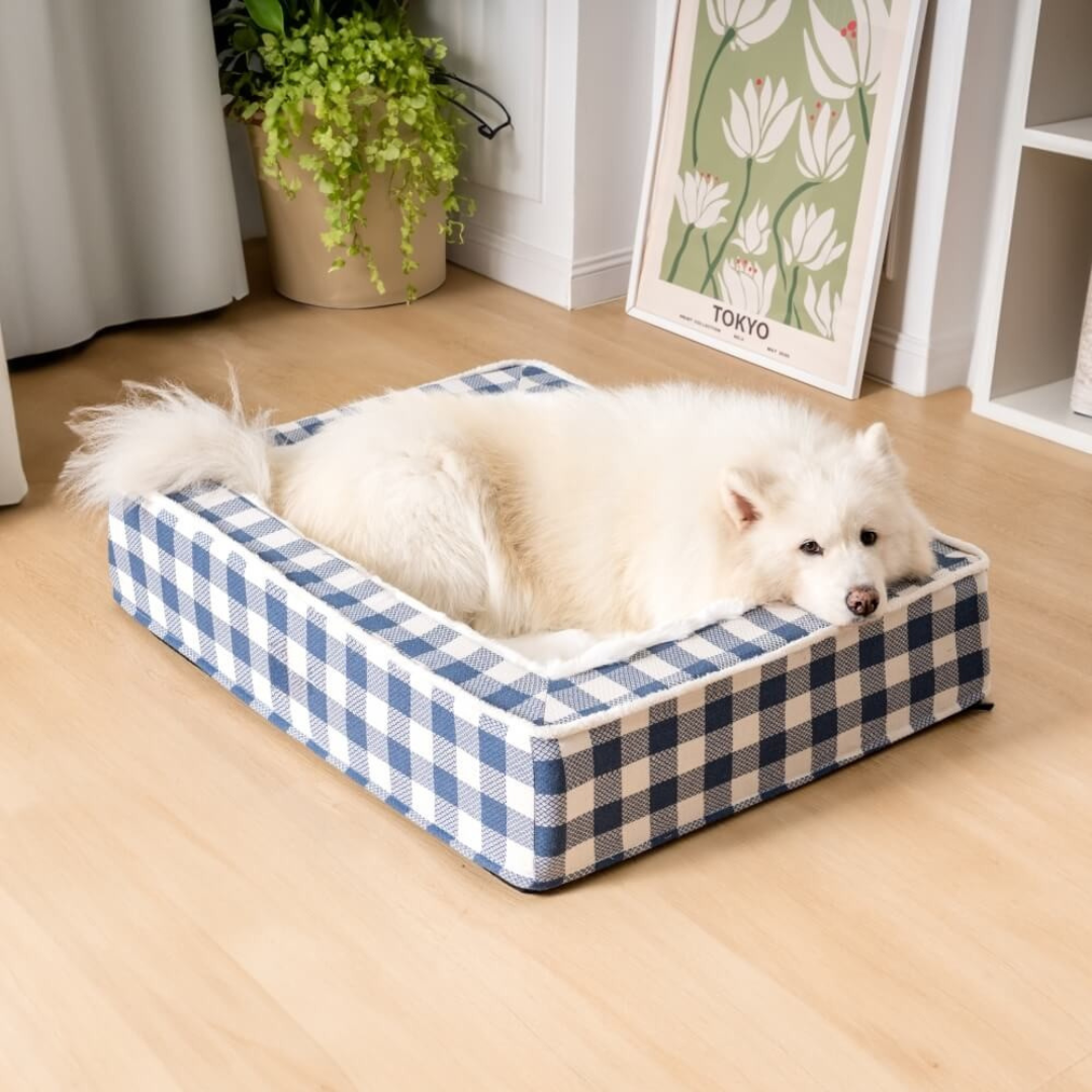 Dog Bed with Foam Support and Plush Lining