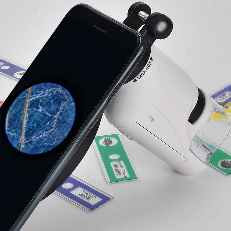 Kids Portable LED Pocket Microscope Toy