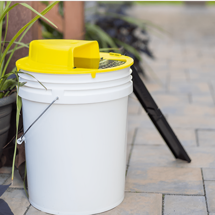 Smart Flip Trap | Automatic Catch Rodent Trap for Home