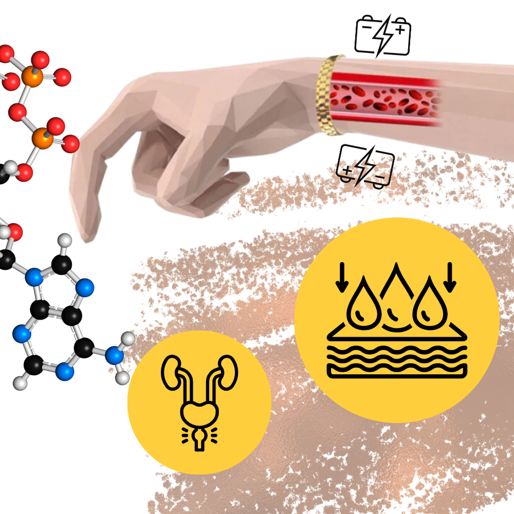 Magnetic Copper Bracelet Therapy Wellness Band